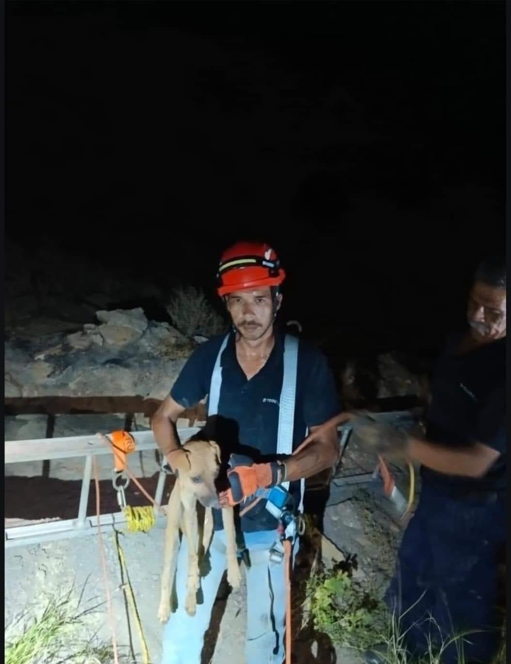 Salvan a perrito tras caer en pozo de 25 metros