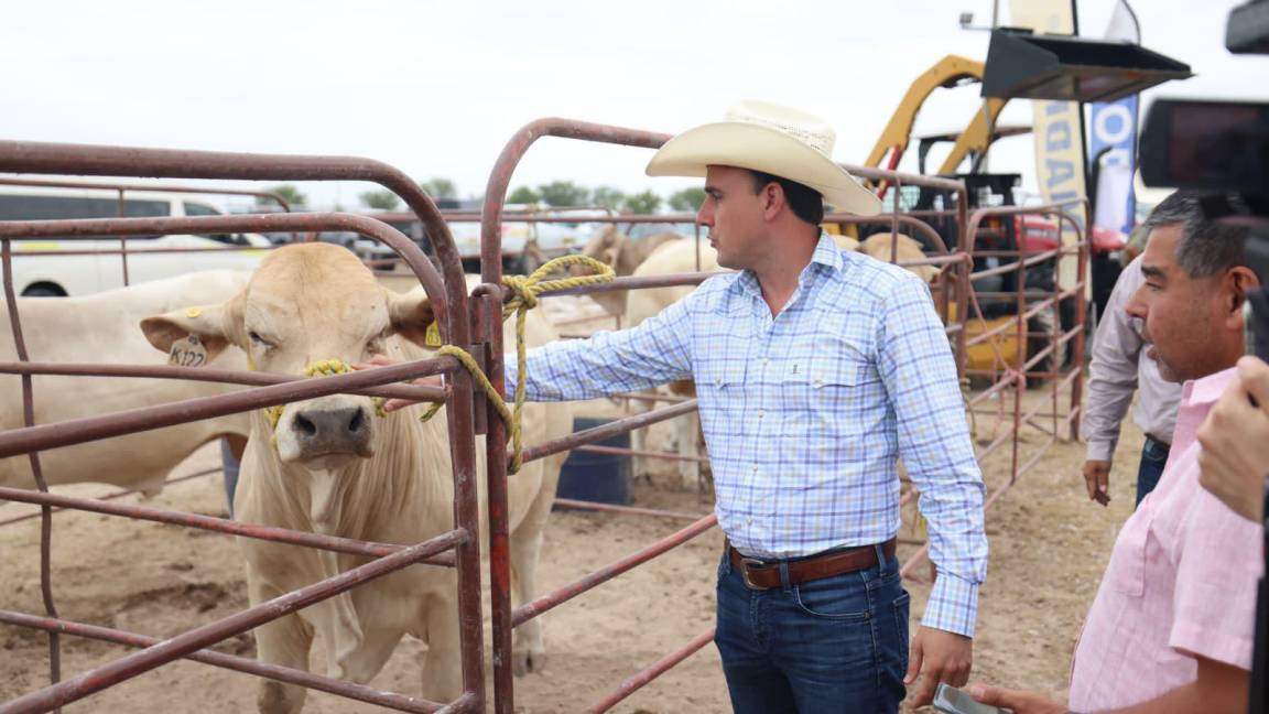 Revisará USDA la ganadería estatal