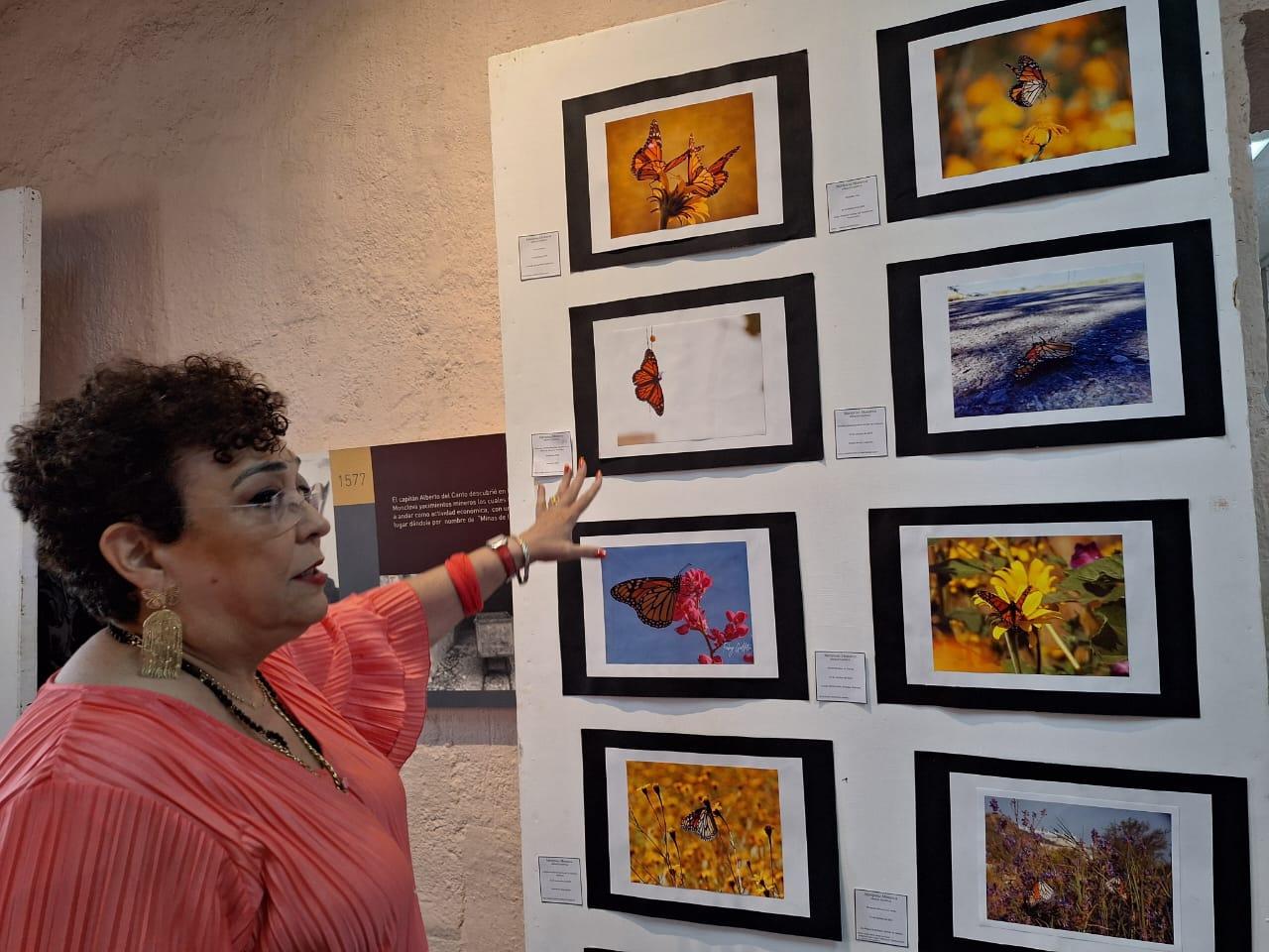 Honra con exposición a la mariposa monarca