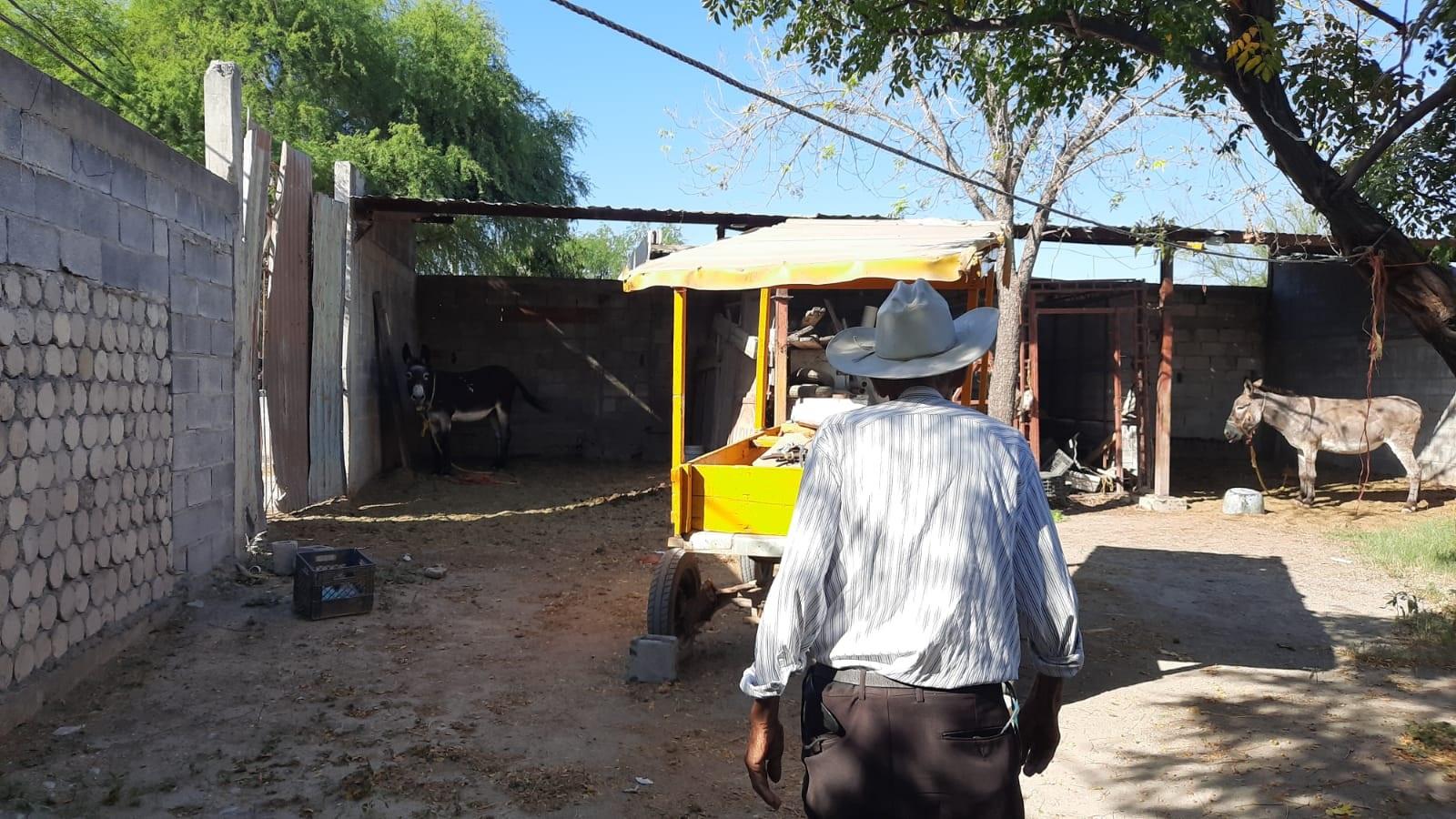 El Tío seguirá laborando a sus 101 años de edad