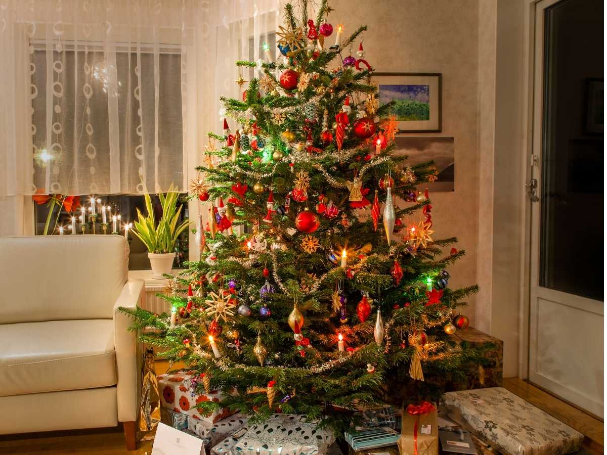 Cuidados de un árbol de Navidad natural: evita accidentes y que se seque rápido