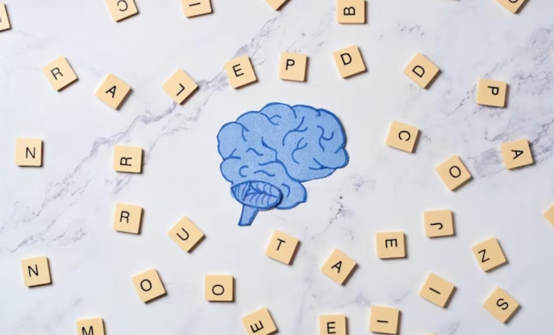 La ciencia demuestra cómo nuestro cerebro procesa el lenguaje; aquí los detalles