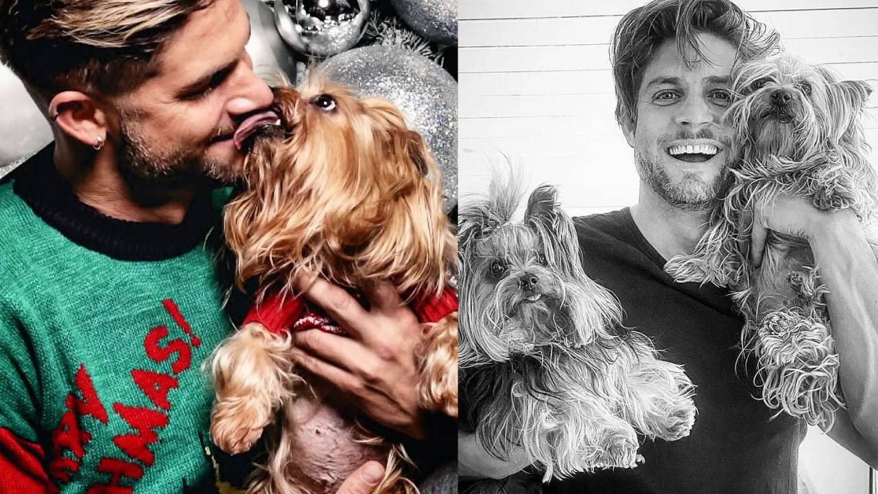 Actor de ‘Papás por Conveniencia’ llora la muerte de su mascota y la despide con petición: “Cuídanos desde el cielo”