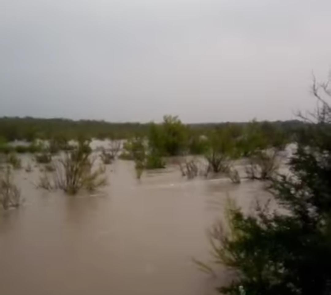 Benefician lluvias a sector campesino