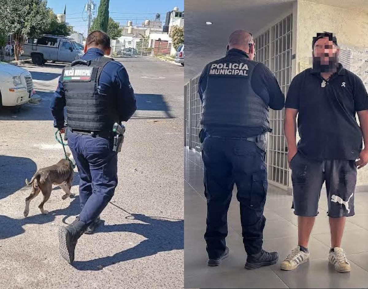 Cae sujeto por maltrato animal