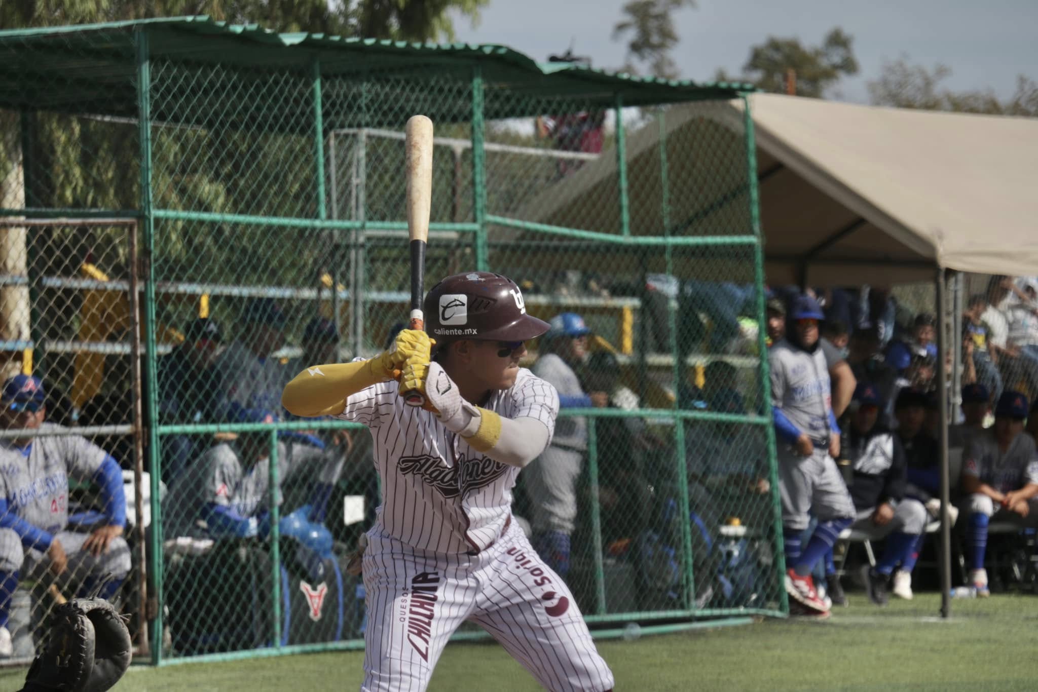 Viven parrenses la pasión del béisbol