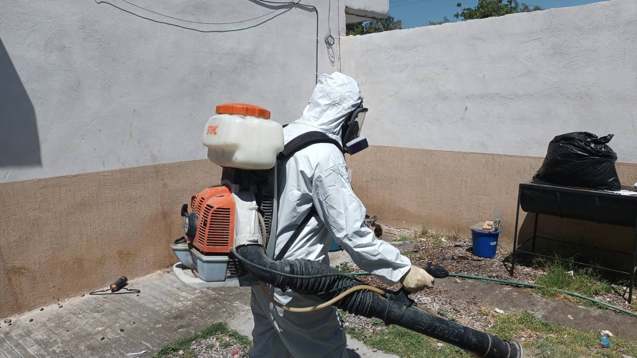Coahuila registra 20 casos de fiebre manchada en 2024