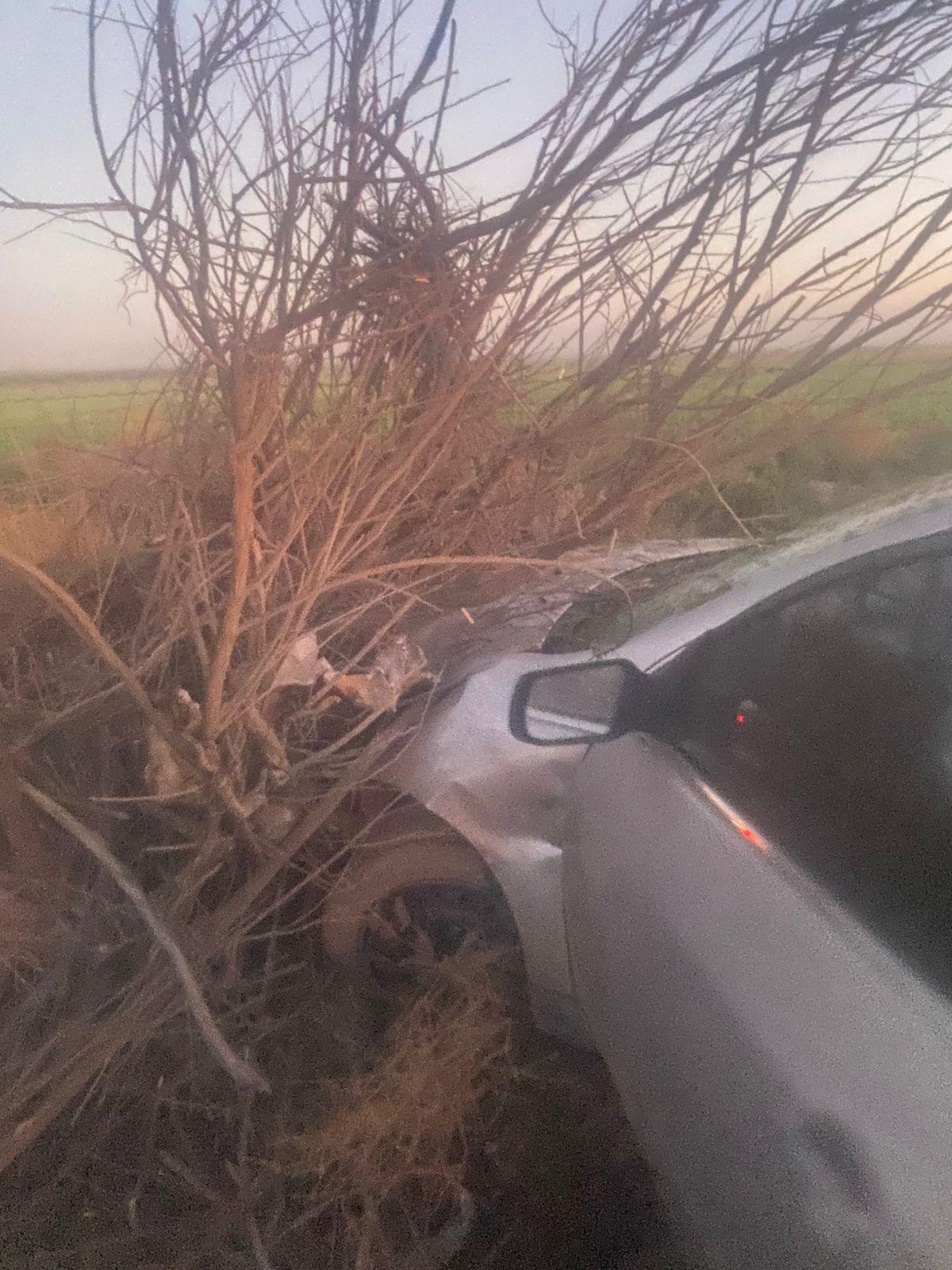Ebrio chofer derriba poste en Nadadores