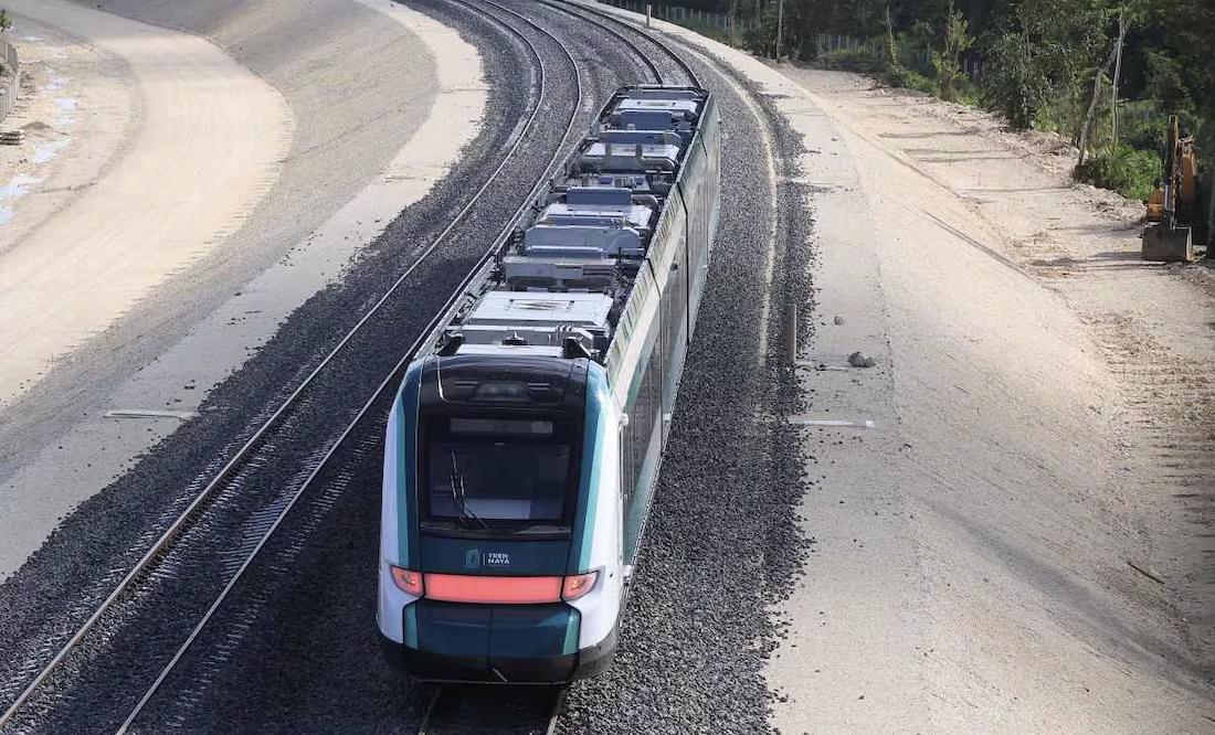 Condenan ambientalistas manejo de fauna por tren