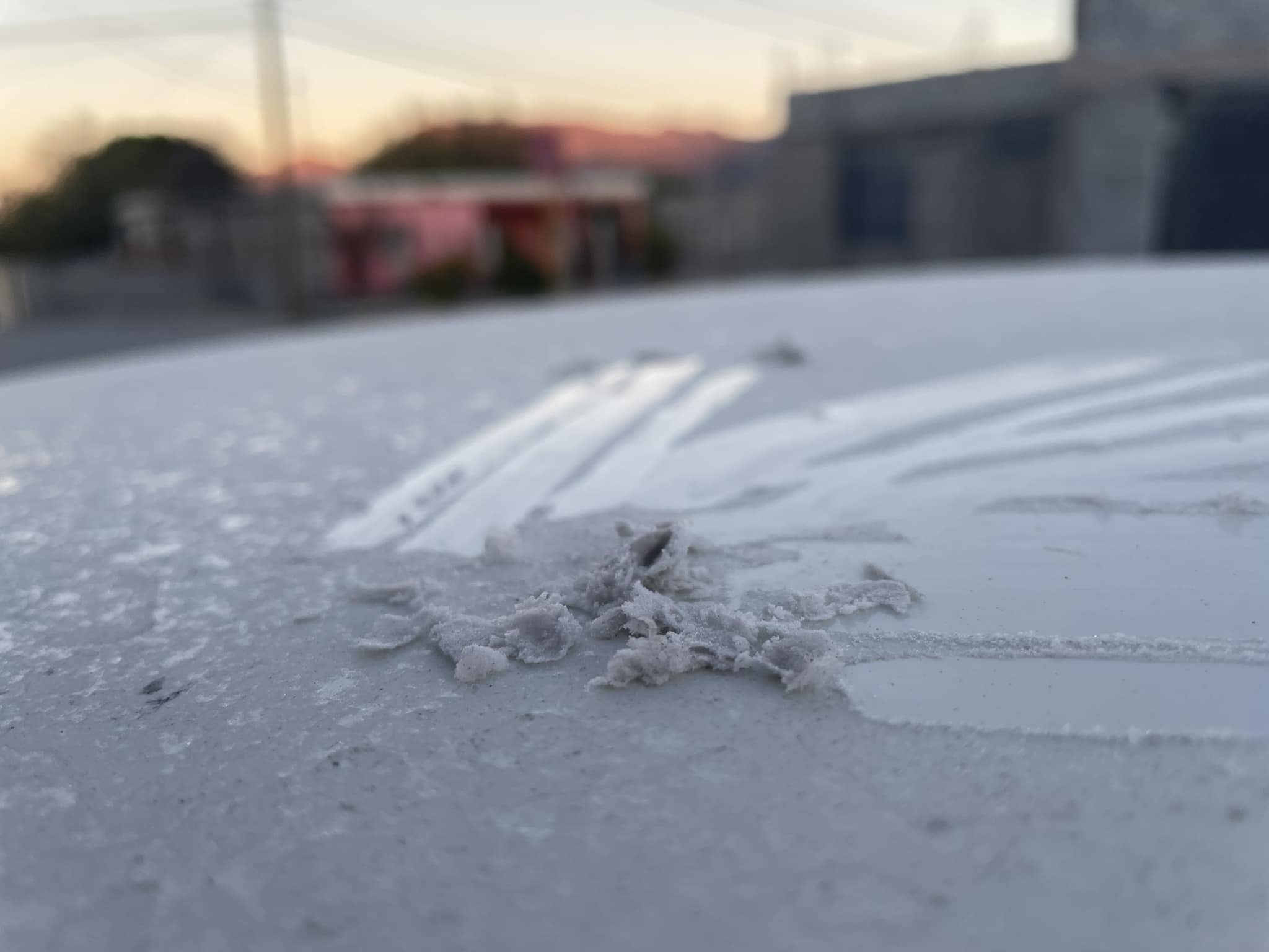 Registra Castaños su primera helada