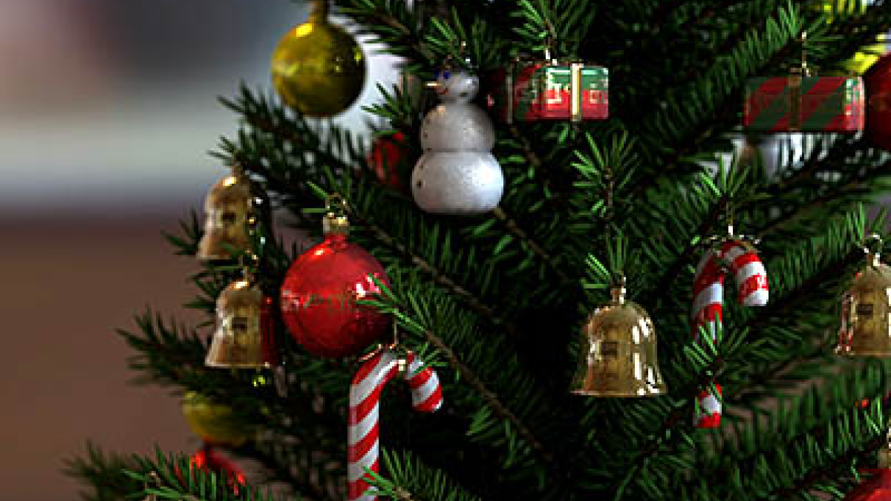 ¿Cuándo se pone y quita el árbol de Navidad?