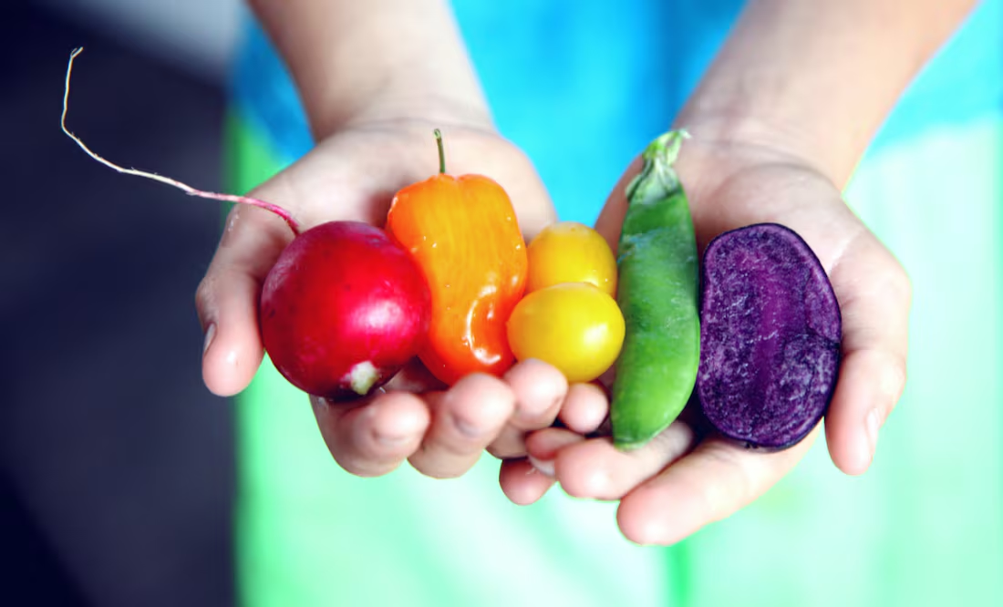 El tubérculo que tiene un alto valor nutricional