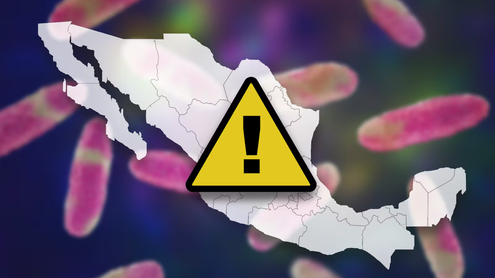 Bacteria Klebsiella oxytoca se ‘propaga’ en México: ¿Qué estados registran casos? Esto reveló Salud