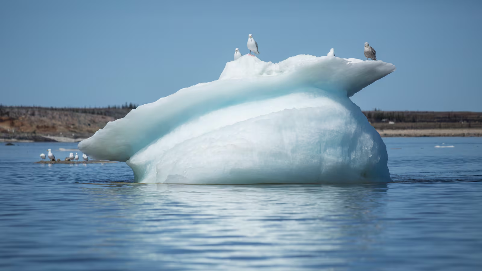 El iceberg más grande del mundo, 2 veces el tamaño de Londres, está a la deriva en el Antártico, alertan