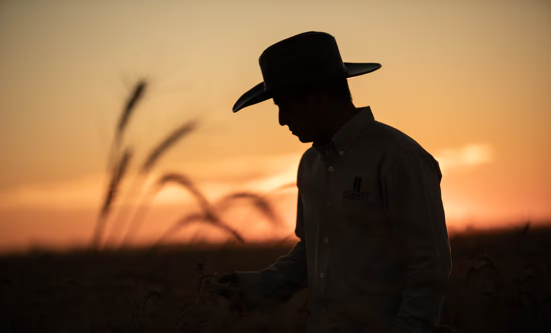 Grupo Bimbo supera su meta de Agricultura Regenerativa