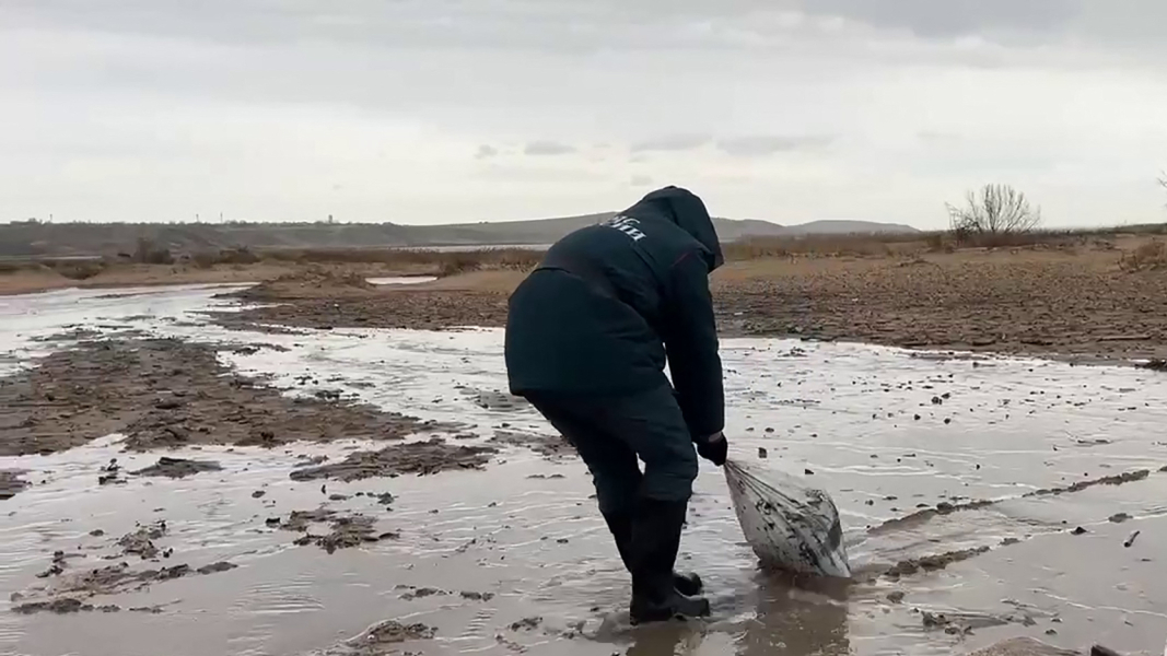 Un derrame ruso de petróleo en el Mar Negro contamina 50 km de playas