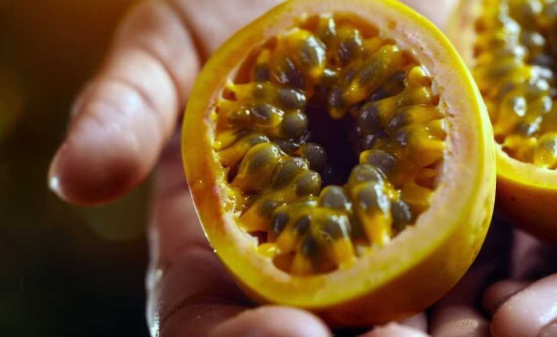 El beneficio que esconden las semillas de esta fruta; tiene gran aporte nutricional