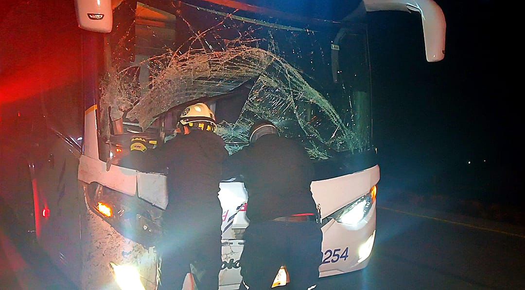 Protagonizan autobús y caballo choque carretero