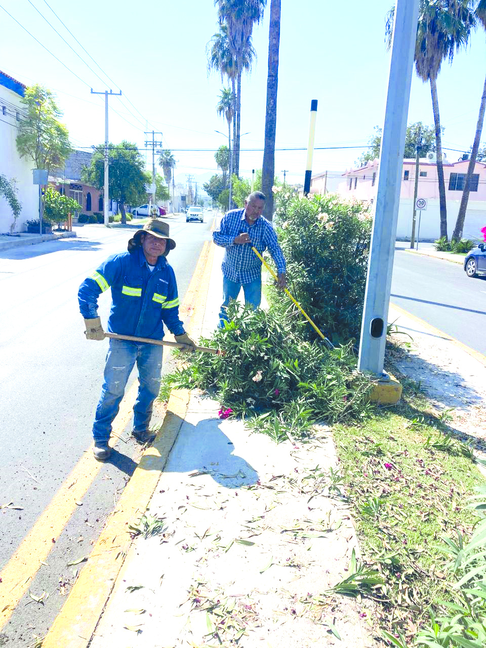 Buscan reducir plantilla laboral en el Municipio