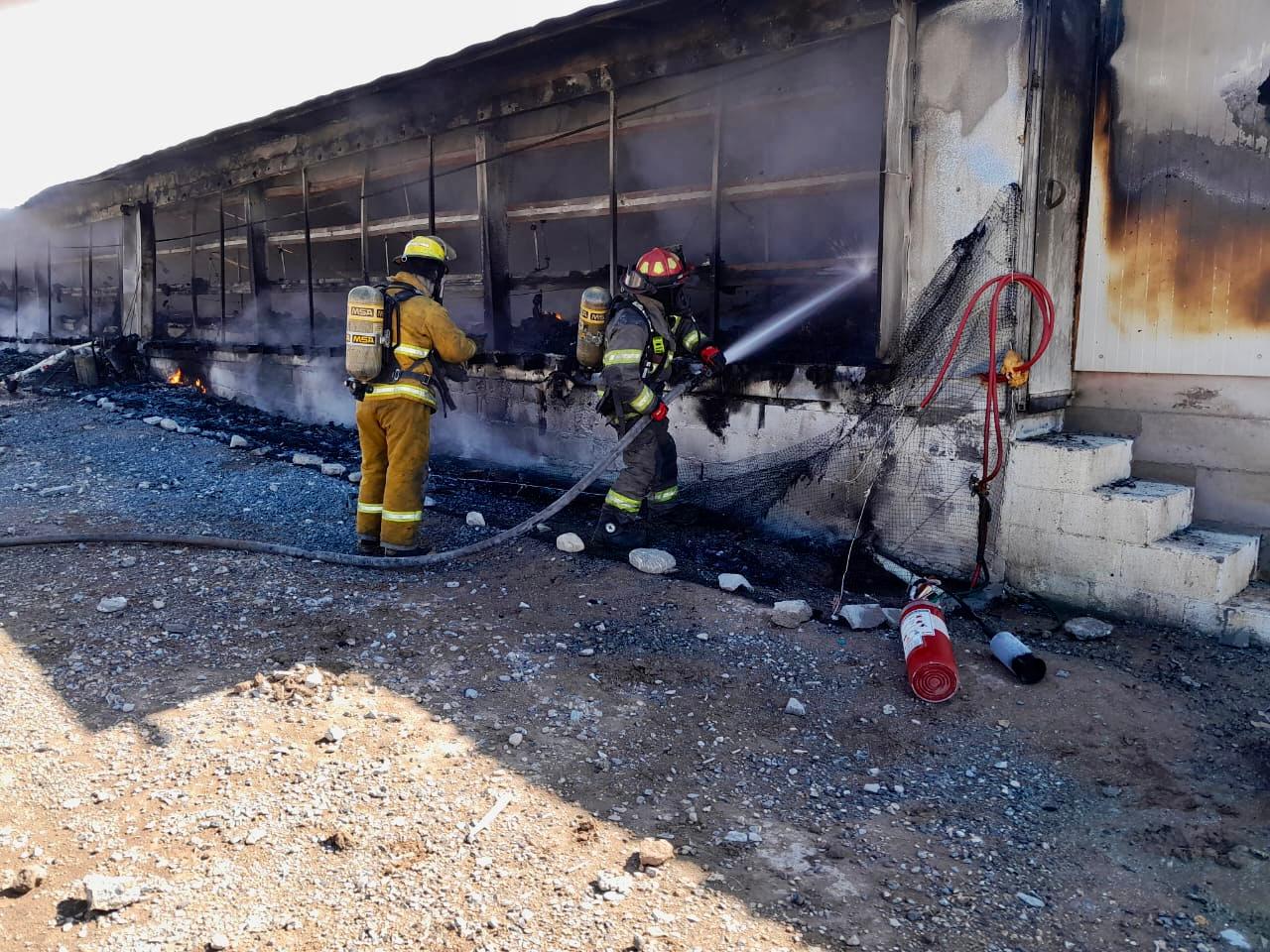 Arrasa incendio con granja avícola