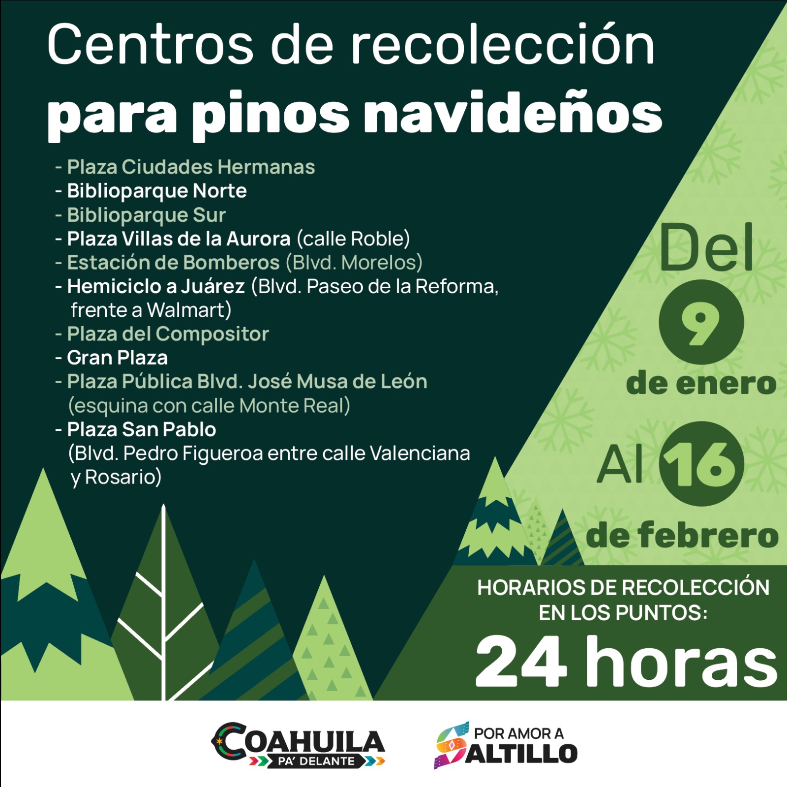 Ayudarán a deshacerse de pinos navideños naturales