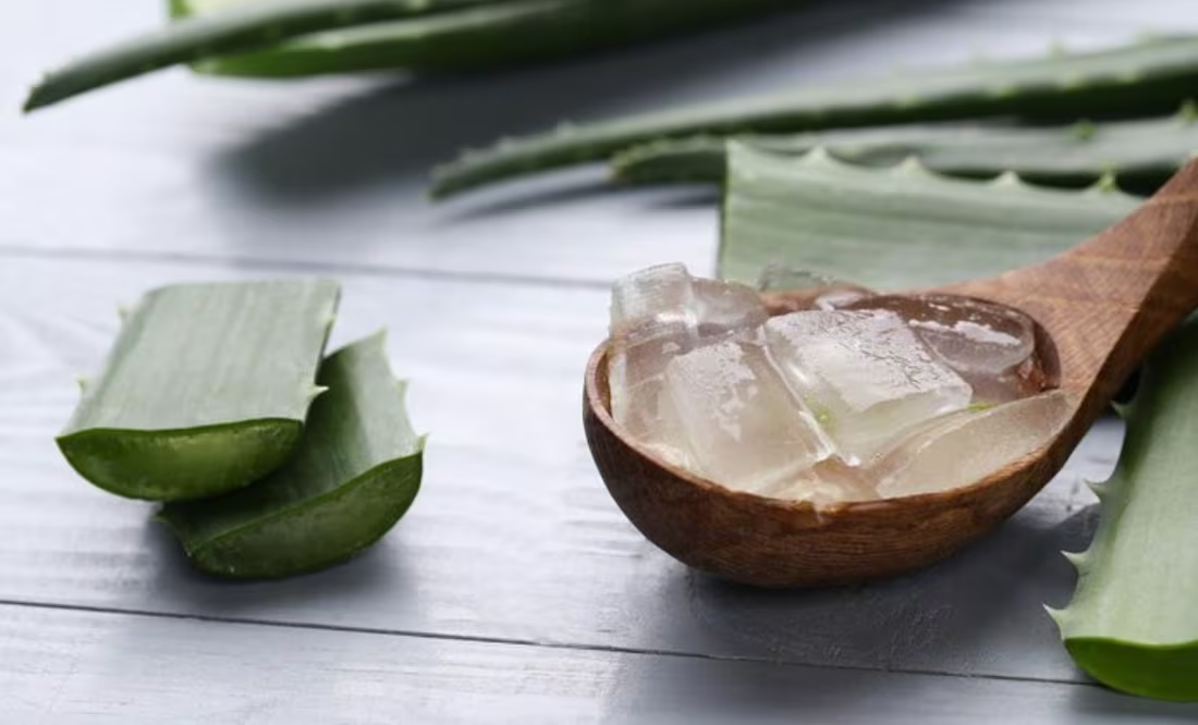 Uso incorrecto de aloe vera; descubre los riesgos ocultos para tu bienestar