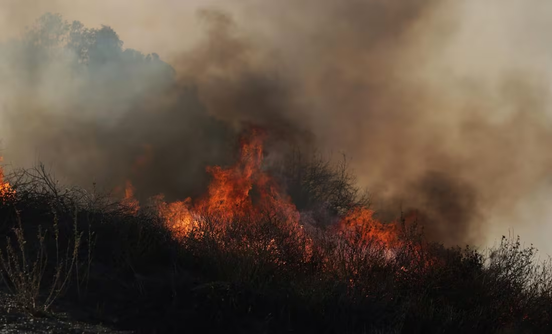 Trump acusa de «incompetentes» a políticos por incendios en Los Ángeles; fuego arrasa con 15 mil hectáreas