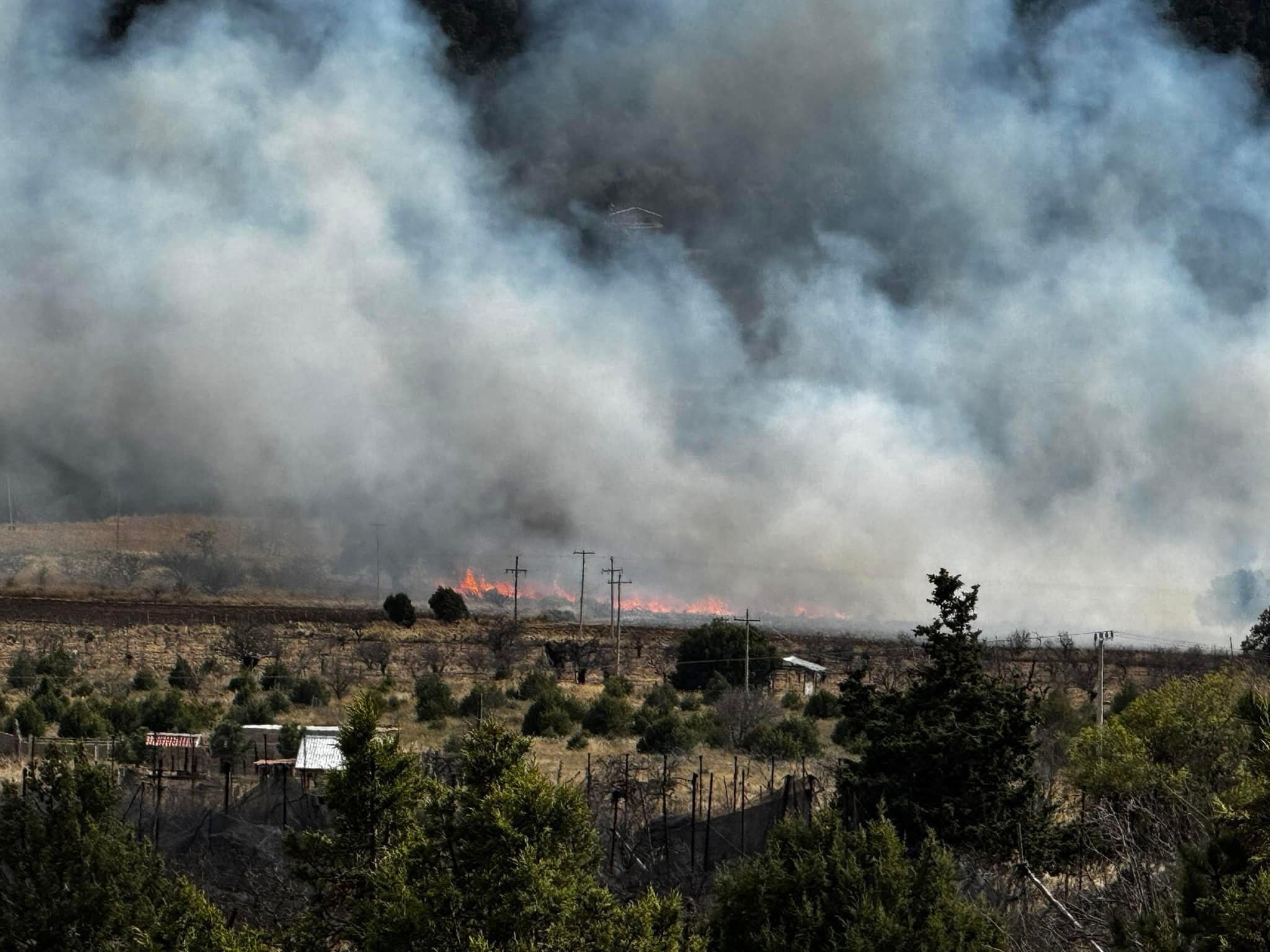Incendio consume Sierra de Arteaga