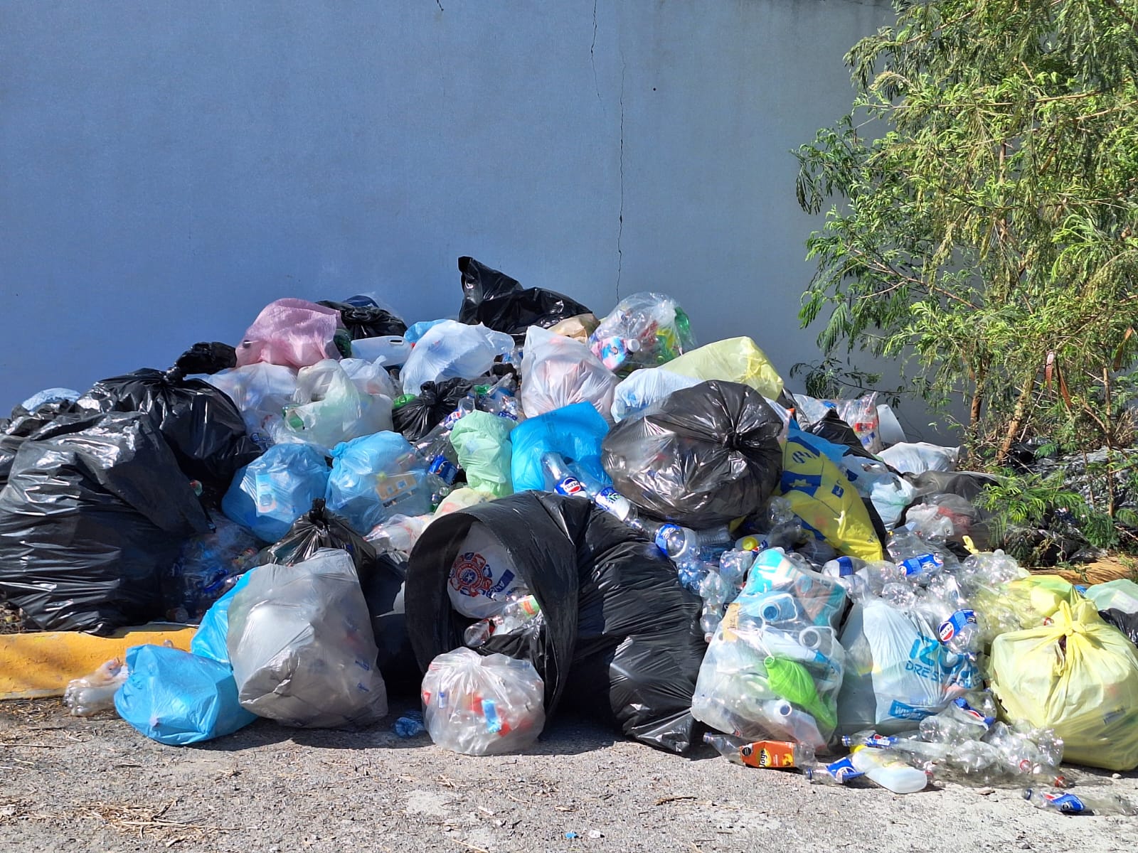Arranca FCA campaña de reciclaje semestral
