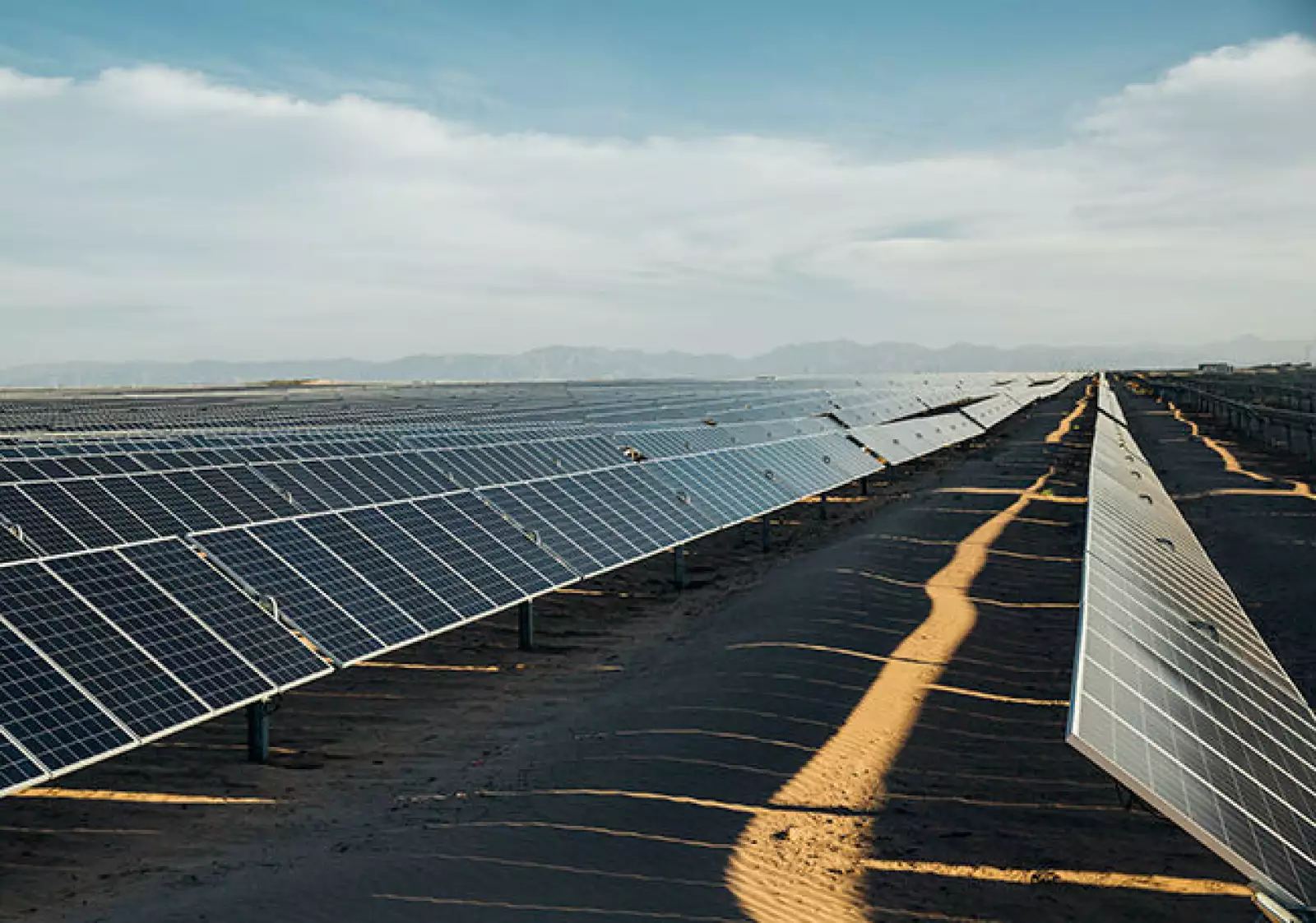‘Coahuila tiene potencial en energías renovables’