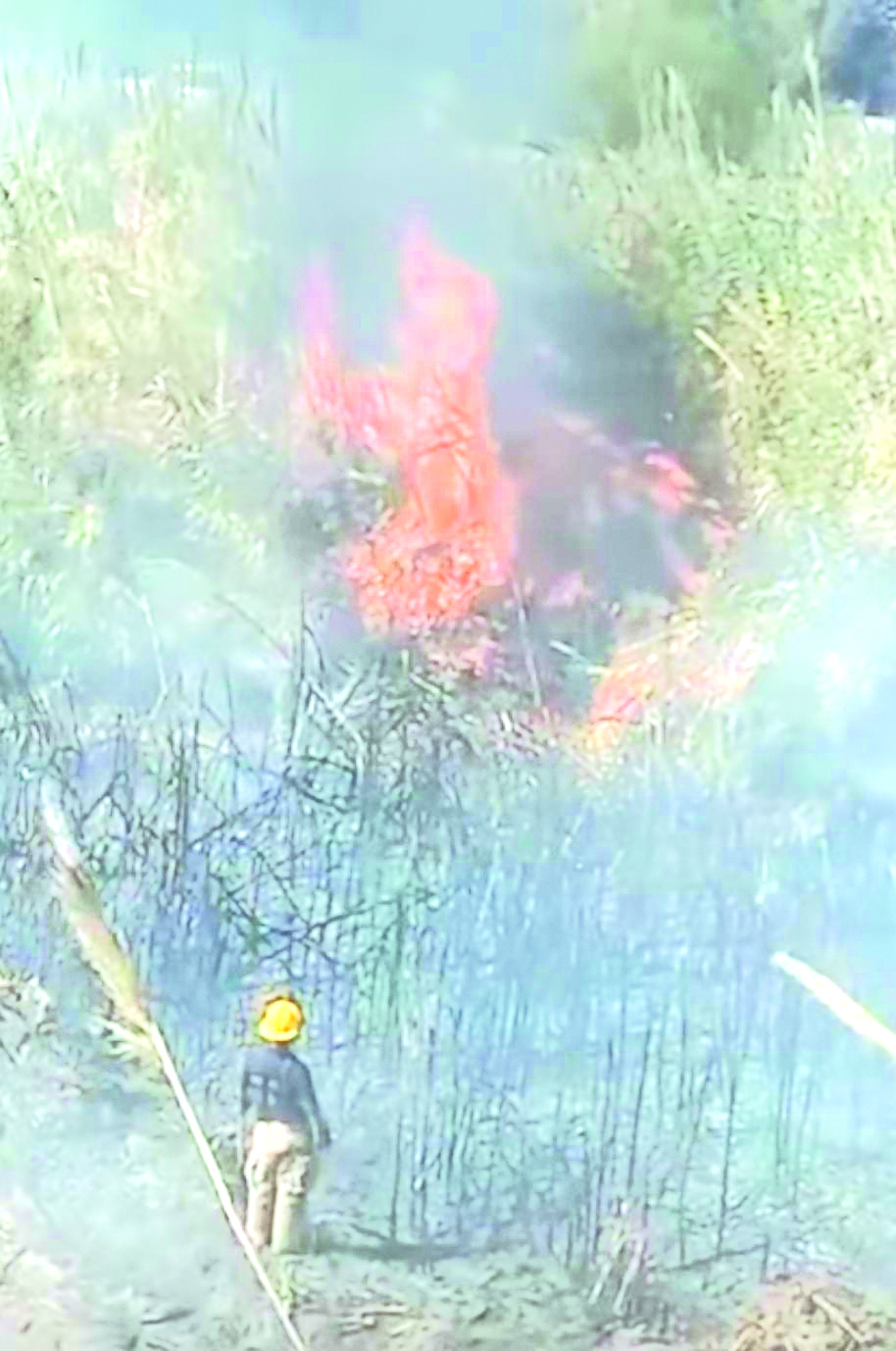 Sofocan bomberos devastador incendio