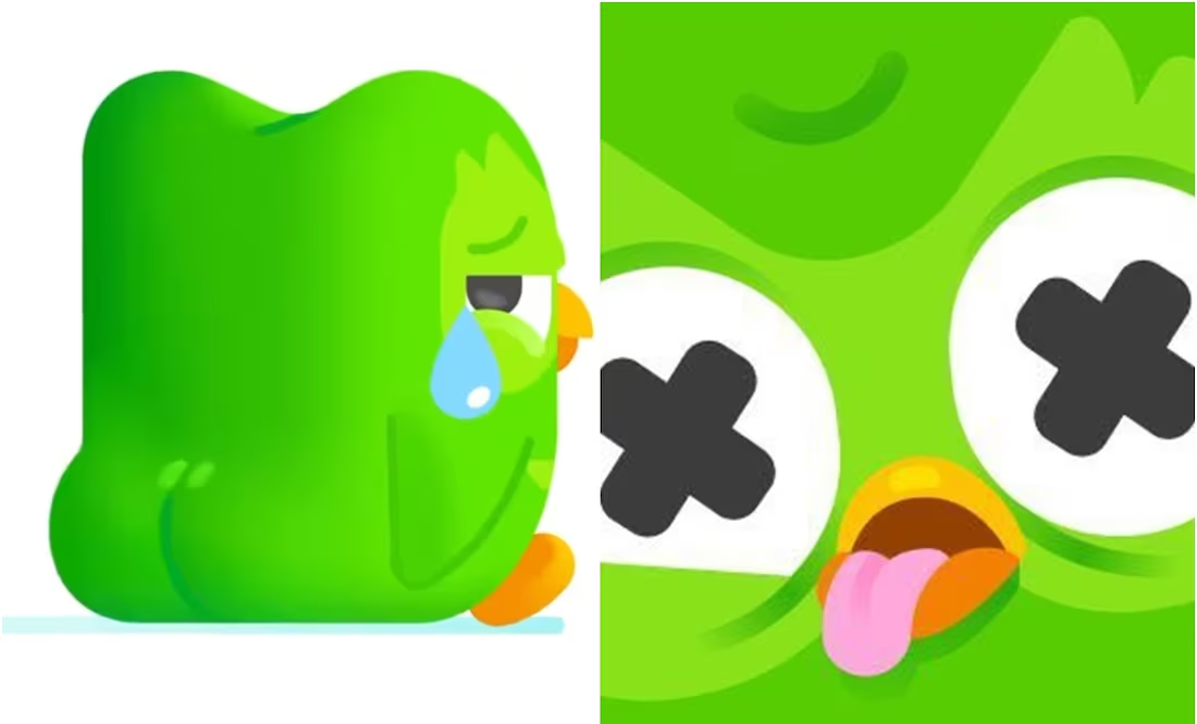 Duolingo anuncia muerte de su mascota y estremece las redes sociales; “tenía muchos enemigos”