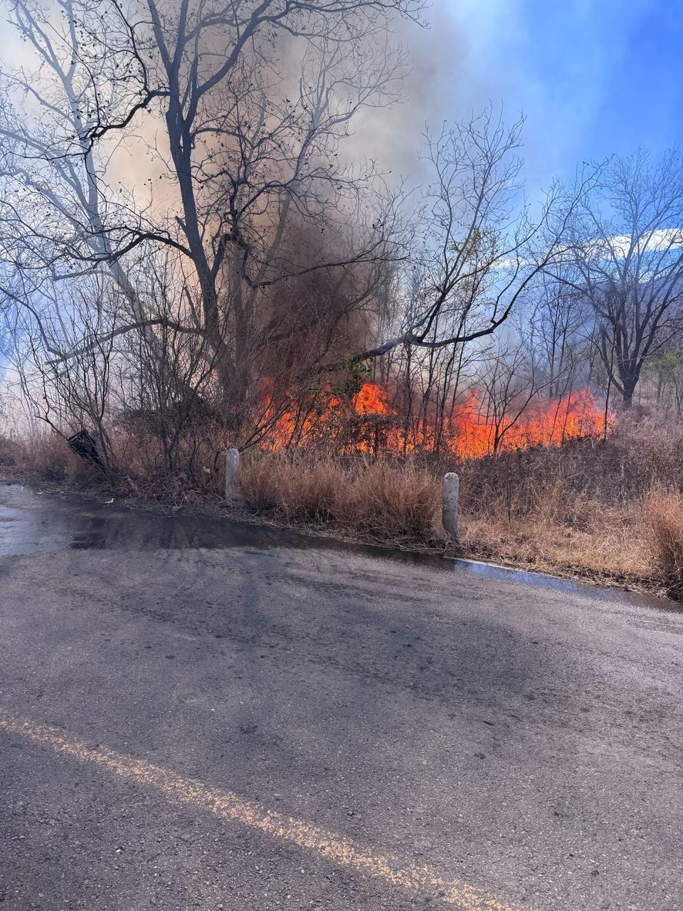 Registra Parras 100 incendios en 2 meses