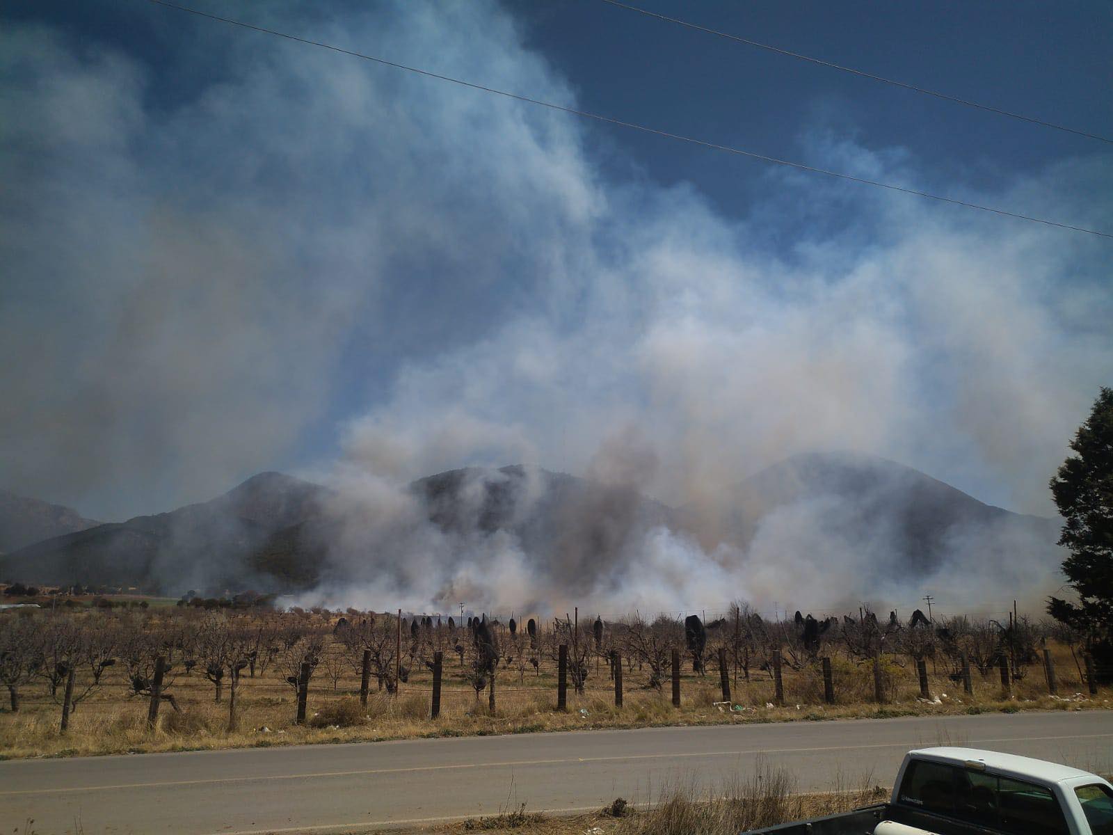 DESTRUYE INCENDIO SIERRA DE ARTEAGA