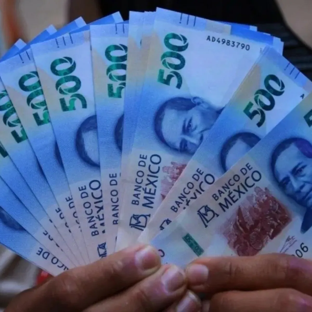 Iniciará el pago de la Pensión del Bienestar