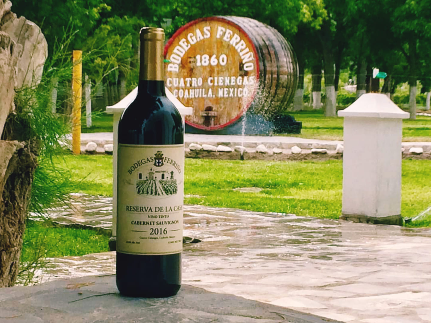 Proyecta Coahuila recibir certificación IGP por vinos