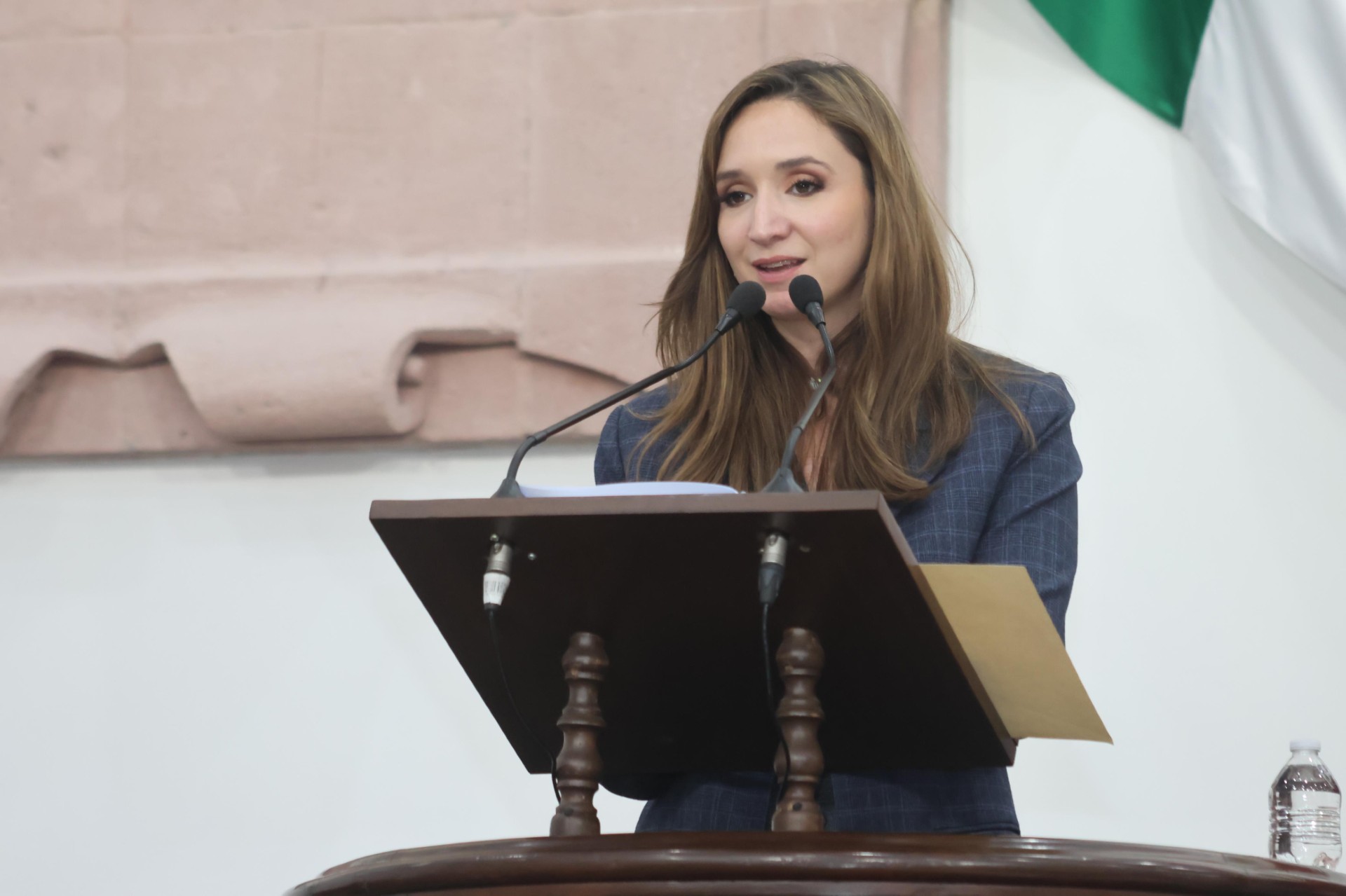Propone diputada mayor vigilancia de alojamientos