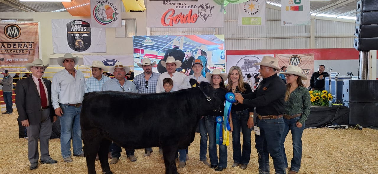 Realizan concurso “Becerro Gordo” en AgroFest Saltillo