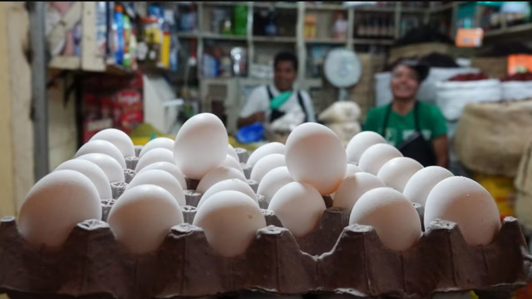 México ‘saca del apuro’ a EU: Se convierte en el principal exportador de huevo en medio de escasez