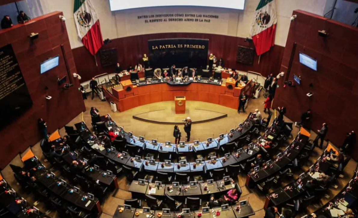 PRI solicita destitución de Noroña por descalificar a buscadoras