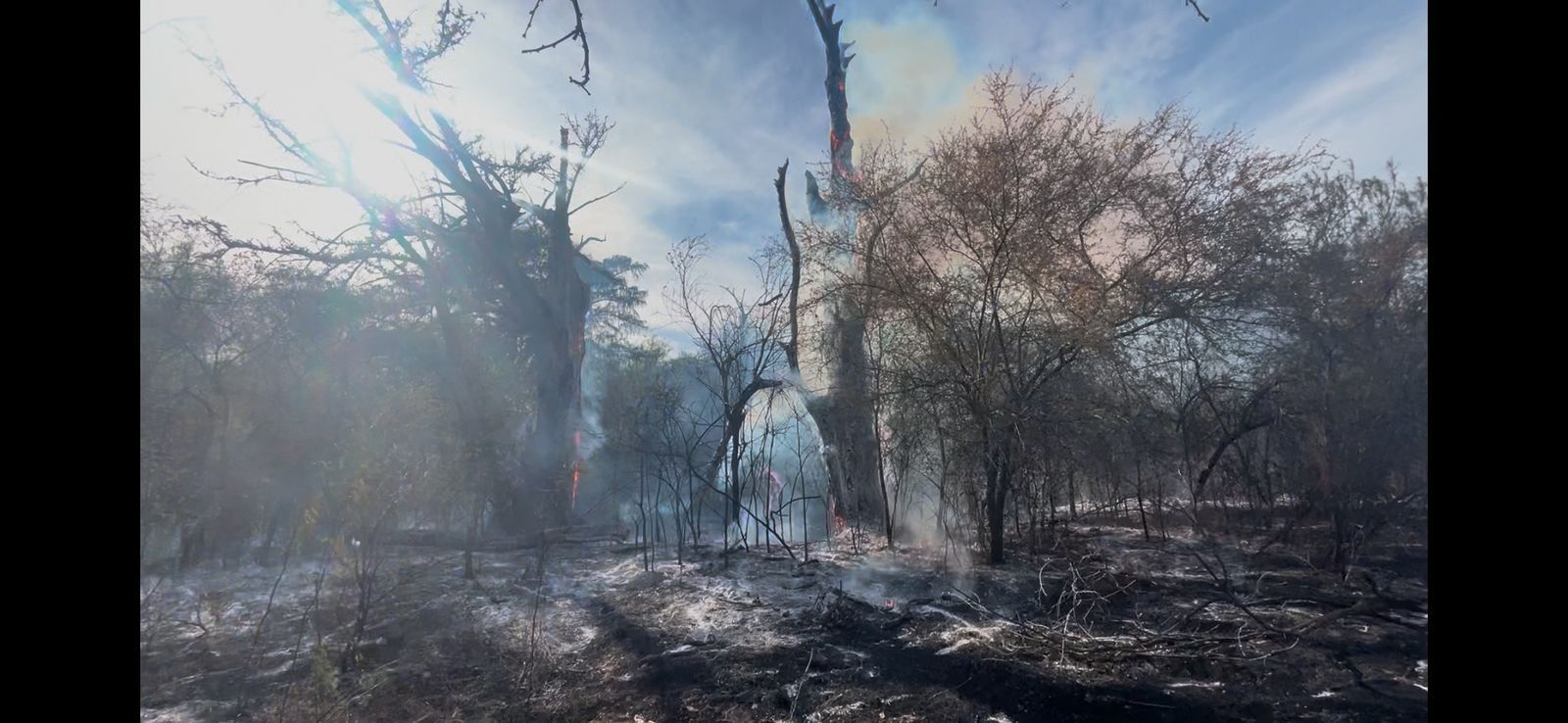 Incendio forestal destruye ecosistema del Río Sabinas