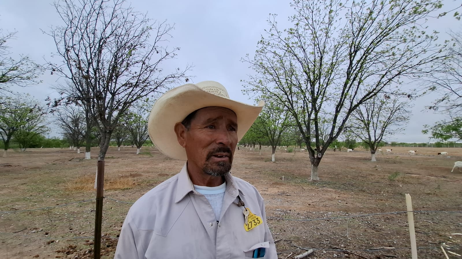 Traen primeras lluvias esperanza al campo
