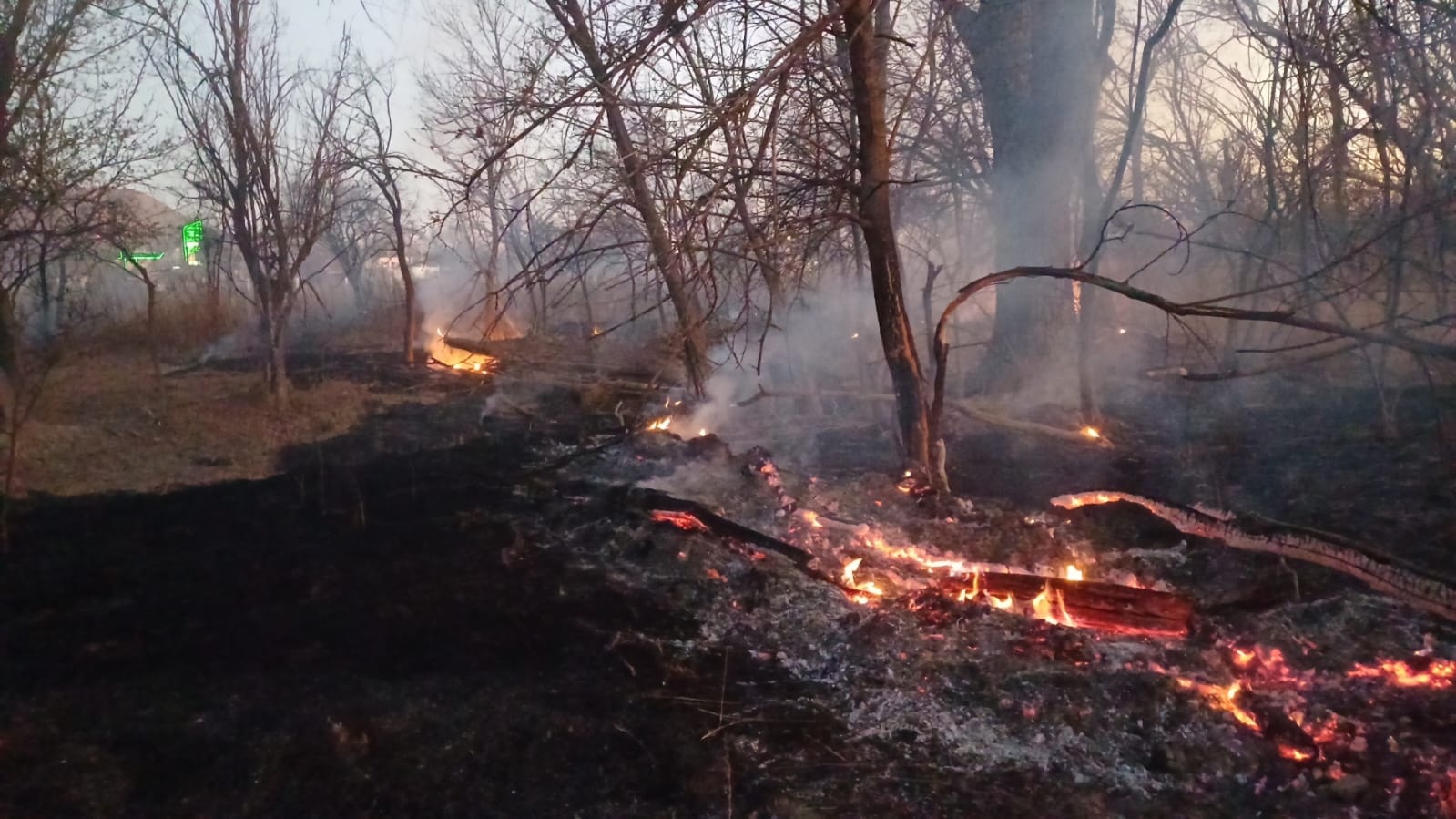 Voraz incendio en la Nogalera de Castaños
