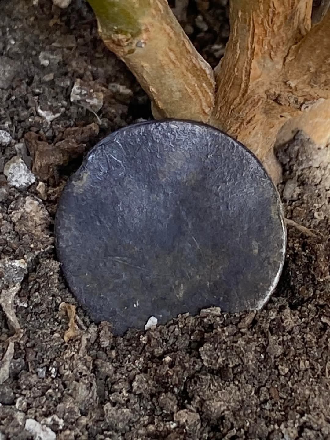 Encuentran moneda de plata del año 1847