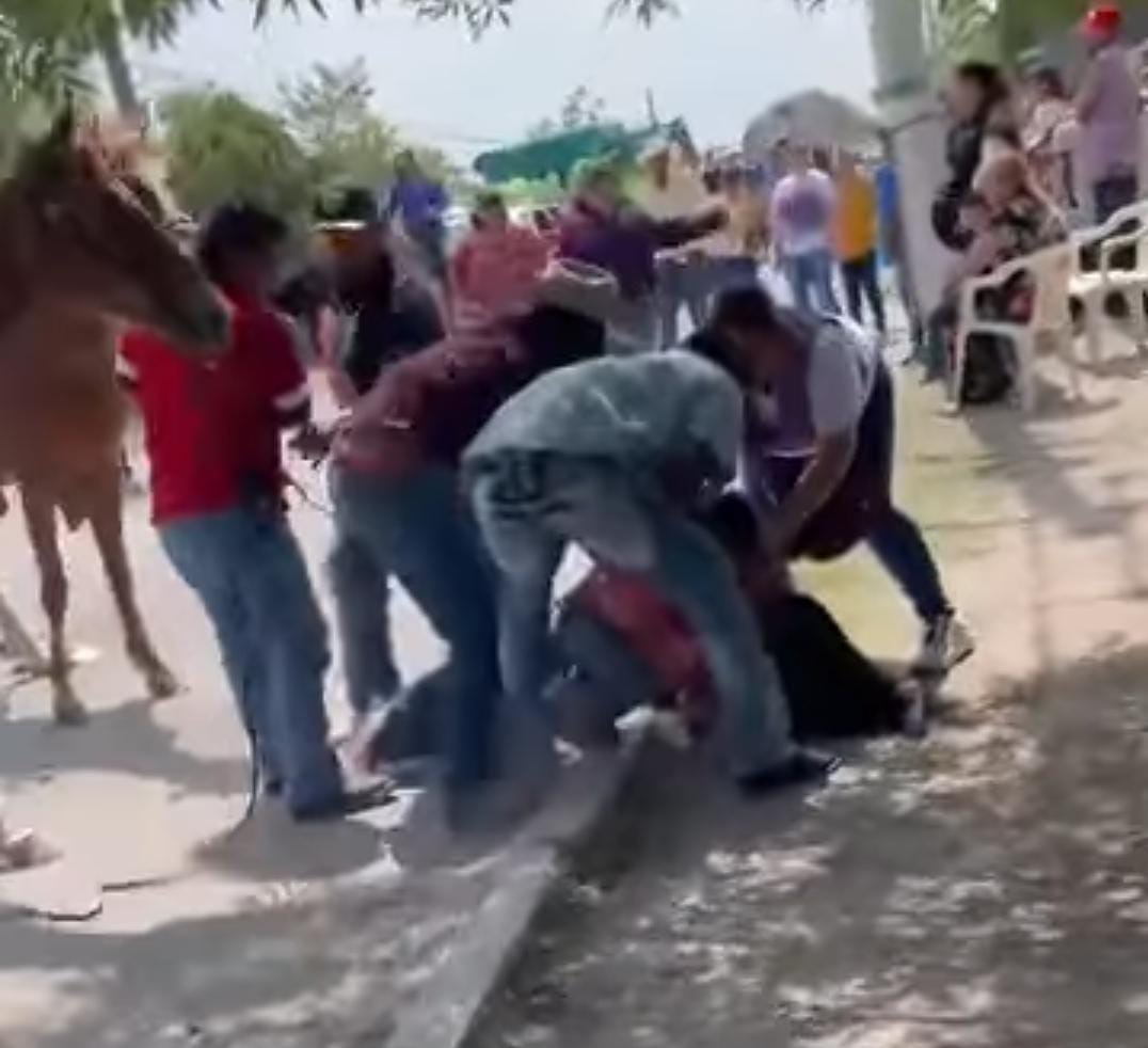 Caen madre e hija de caballo tras relinchar