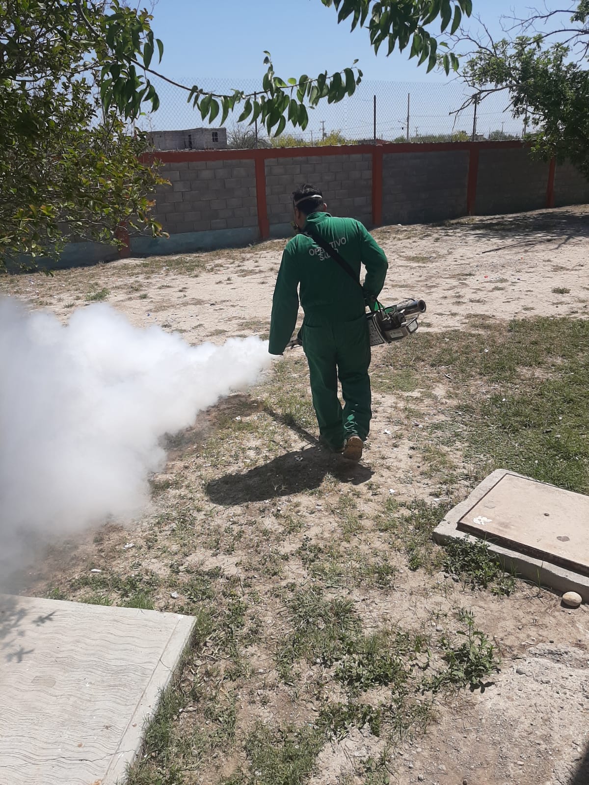 Previenen con acciones propagación de dengue