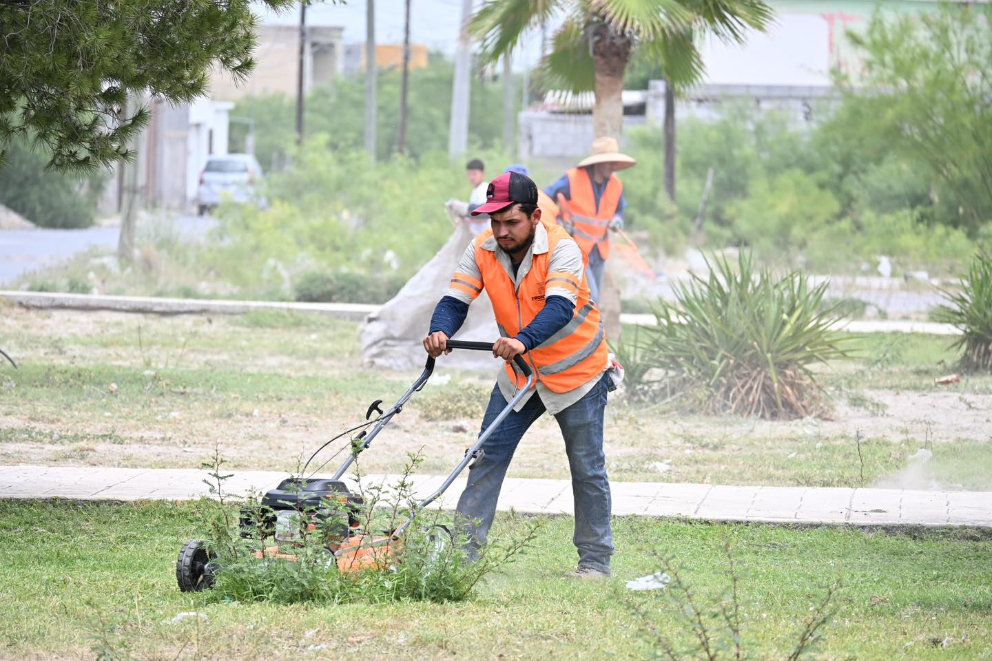 Merece Frontera áreas verdes más dignas: Sari