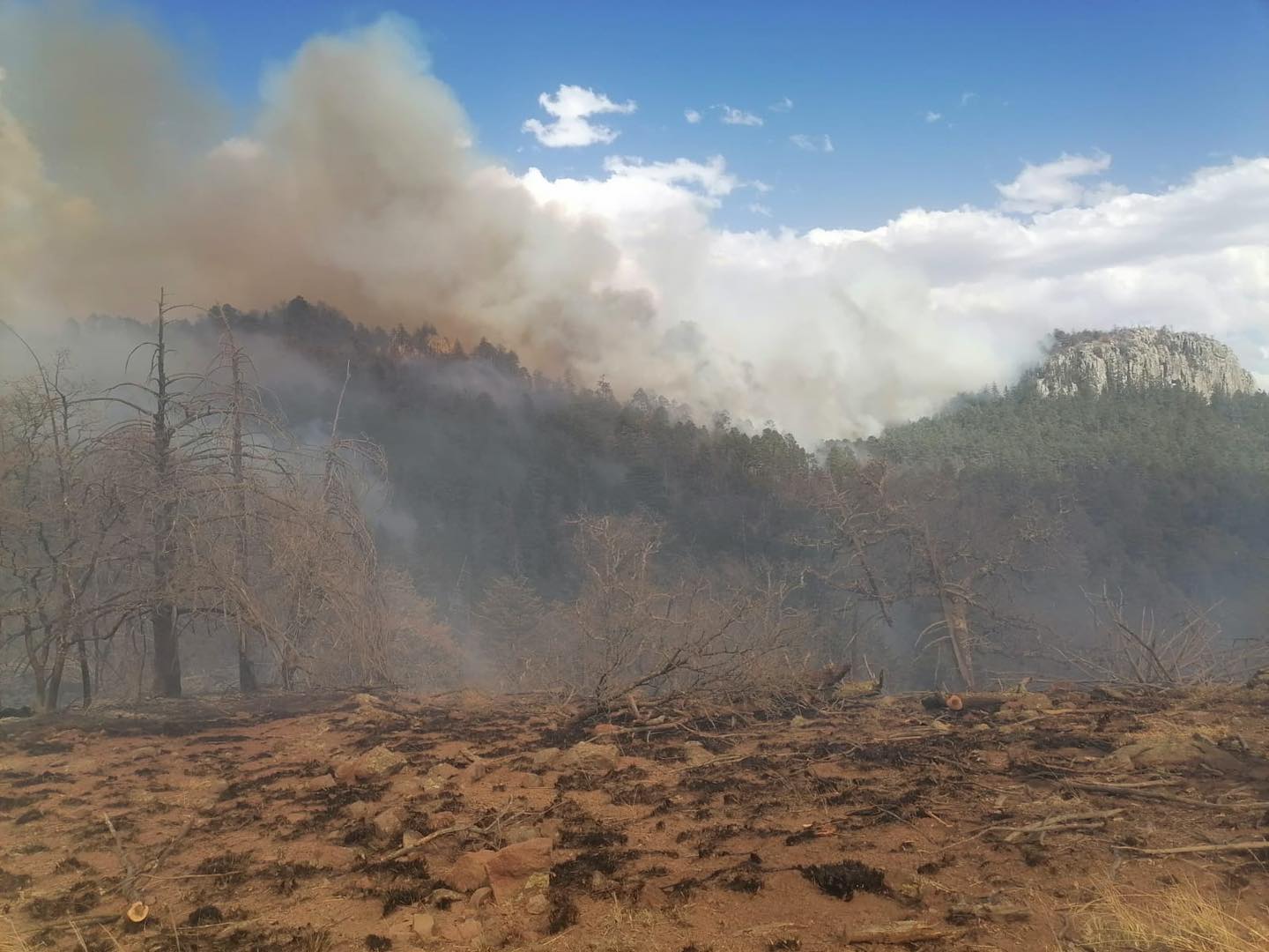 Refuerzan labores en Maderas del Carmen