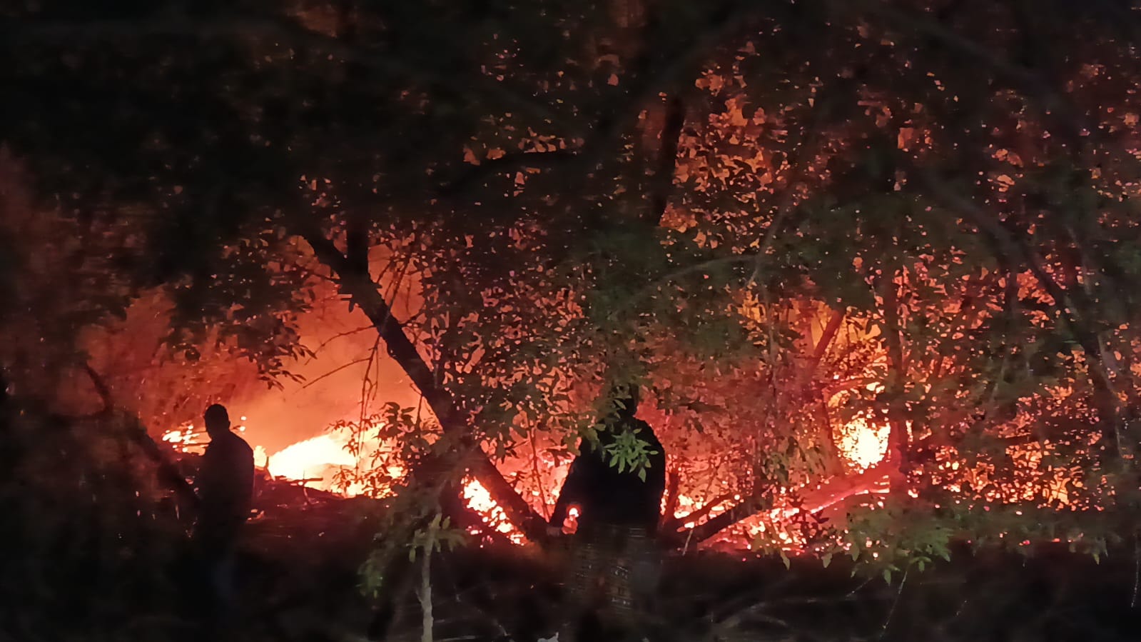 Incendio intencional arrasó con “La Islita”  RÁPIDA RESPUESTA DE BOMBEROS IMPIDIÓ SE EXTENDIERA
