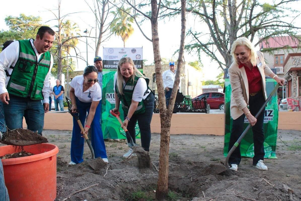 Reforesta Laura Jiménez plaza principal de Múzquiz
